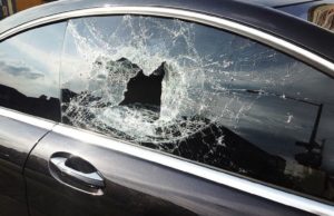 Breaking Into Someone’s Car To Save Dogs Becomes Legal In Florida