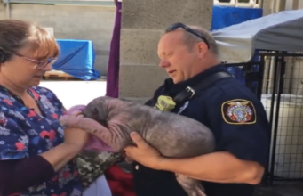 Sick And Homeless Puppy Filled With Joy After Her Rescuer Visits Her