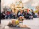 One-Year-Old Dog Spends A Day At Disneyland
