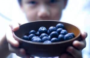 Can Dogs Eat Blueberries? blueberry, blueberries, blue, fruit, healthy