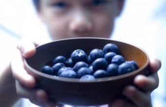 Can Dogs Eat Blueberries? blueberry, blueberries, blue, fruit, healthy