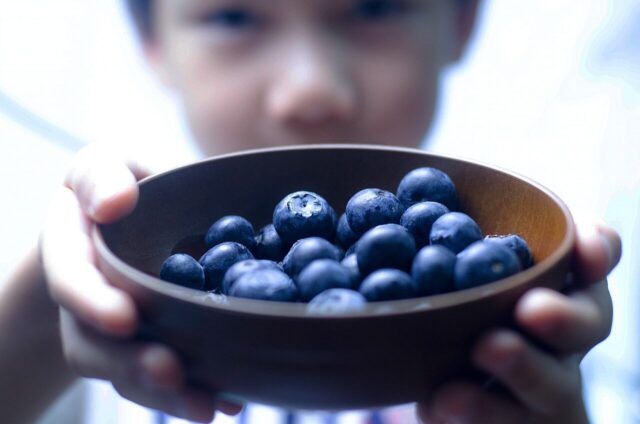 blueberry, blueberries, blue, fruit, healthy