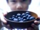 Can Dogs Eat Blueberries? blueberry, blueberries, blue, fruit, healthy