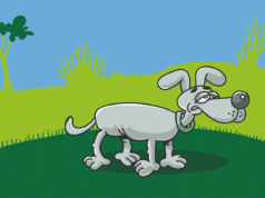 Dog Vomiting Yellow Foam – What It Means & When to Worry sick dog, ill dog