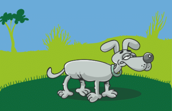 Dog Vomiting Yellow Foam – What It Means & When to Worry sick dog, ill dog